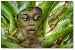 Guadeloupe-05-r.jpg