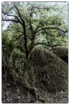 Huelgoat-KK-01.jpg
