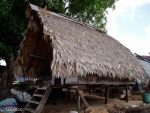 guyane-17.jpg