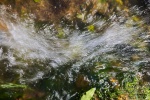 Eau-Piblo-1.jpg