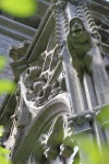 IMG_3696b-r.jpg