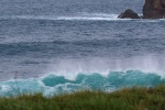 CAT _ EN BORD DE MER (5) RECADRAGE-r.jpg