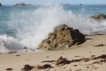 IMG_3499_mod-r.jpg