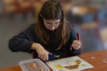 IMG_5743.mod-r.jpg
