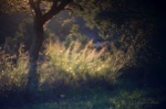CATHERINE - PLUIE IMAGES 7-r.jpg