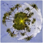 Guadeloupe-01-r.jpg