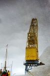 06-fêtes-maritimes.jpg