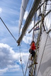 fêtes maritimes_Sylvie C_8.jpg