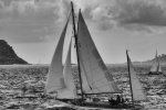 QS4A1630-3.mod.jpg