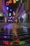 Landerneau illuminations_Sylvie C_4.jpg