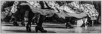 Alors on danse..._Sylvie C_3.jpg