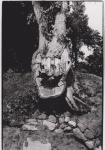 PlurielleNB_Stephane_5.jpg
