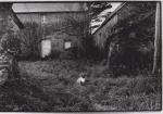 PlurielleNB_Stephane_6.jpg