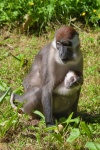 Terres_Natae_Pierre_02.jpg