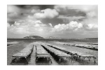04--PatriceM__ExpoRCC2026--Perspective.jpg