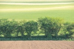 Paysage sans ciel Anne.JPG
