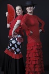 FLAMENCO_STUDIO_CAT (6).JPG