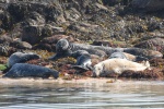 dsc_0025-2_wb.jpg