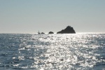 dsc_0231-2_wb.jpg