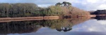 pano2010_3.jpg