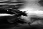PluieImages2010_30.jpg