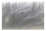 PluieImages2010_5.jpg
