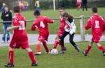 IMG2774.jpg