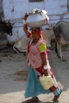 c_ranakpur 14.jpg