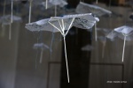 ARTS_CAPELLA_5599.jpg