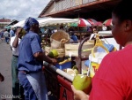 guyane-7.jpg
