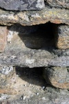 Le-Plessis_deÌtail2-Wb.jpg