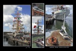 VLCuauhtemoc_web.jpg