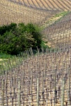 punta_di_vista03.jpg