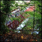 rivespenfeld_tr_02_web.jpg