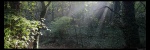 rivespenfeld_tr_03_web.jpg
