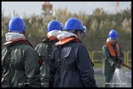 cedre_vl-02_Web.jpg
