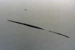 746.jpg