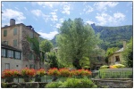 Cevennes_Mickael_Wb (10).jpg