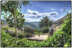 Cevennes_Mickael_Wb (12).jpg