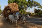 a- 23-01-2012 11-43-33 copier.jpg