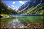 neiges-eternelles2.jpg