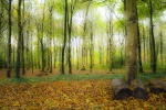 Keroual__DSC0139_1.JPG
