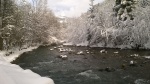 WP_20160115_006.jpg