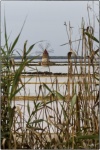 Plurielle_1-19_FK-02.jpg
