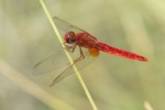 DSC_9573.JPG