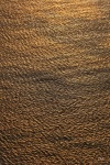 HeureDoree_PB_05.jpg